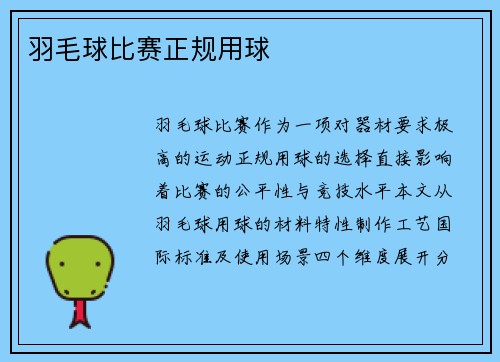 羽毛球比赛正规用球