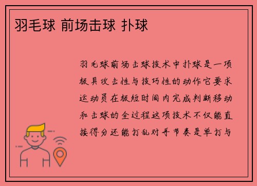 羽毛球 前场击球 扑球